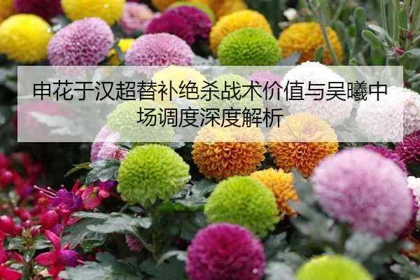 shen-hua-yu-han-chao-ti-bu-jue-sha-zhan-shu-jia-zhi-yu-wu-xi-zhong-chang-diao-du-shen-du-jie-xi-2-566.jpg