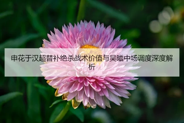shen-hua-yu-han-chao-ti-bu-jue-sha-zhan-shu-jia-zhi-yu-wu-xi-zhong-chang-diao-du-shen-du-jie-xi-3-622.jpg
