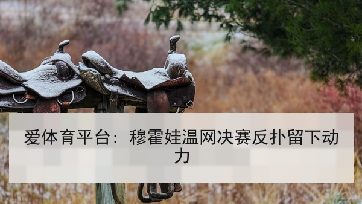 爱体育平台: 穆霍娃温网决赛反扑留下动力