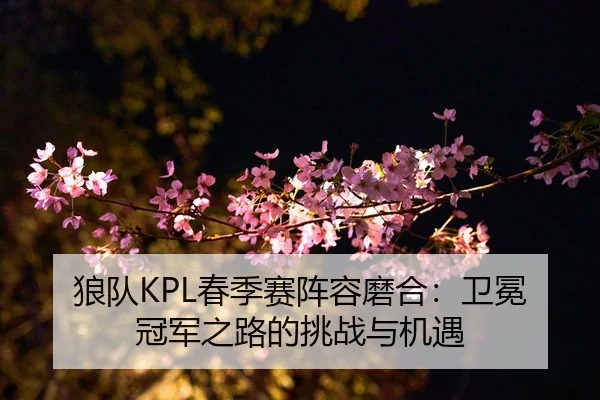 狼队KPL春季赛阵容磨合：卫冕冠军之路的挑战与机遇